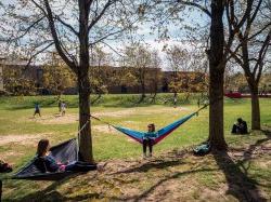 Photo of student in hammock on main quad