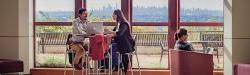 student studying with NYC skyline in background