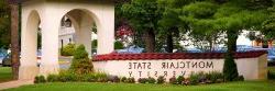 Gates of MSU