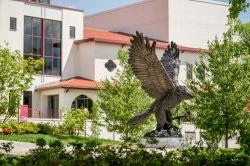 bronze red hawk statue