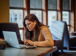 Student studying online