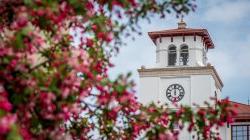 photo of University Hall bell tower in background with pink flowering tree blurred in the foreground