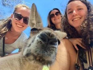 Students pose with wallaby in Australia